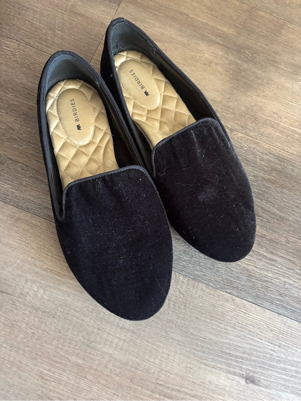 Birdies Women’s Black Velvet Loafers